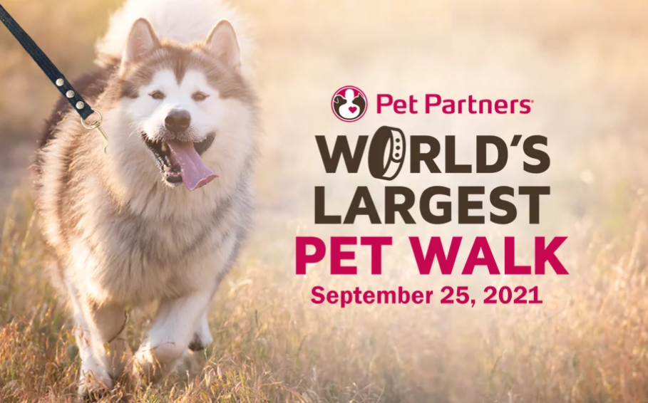 World’s Largest Pet Walk – Shine For Isla Team